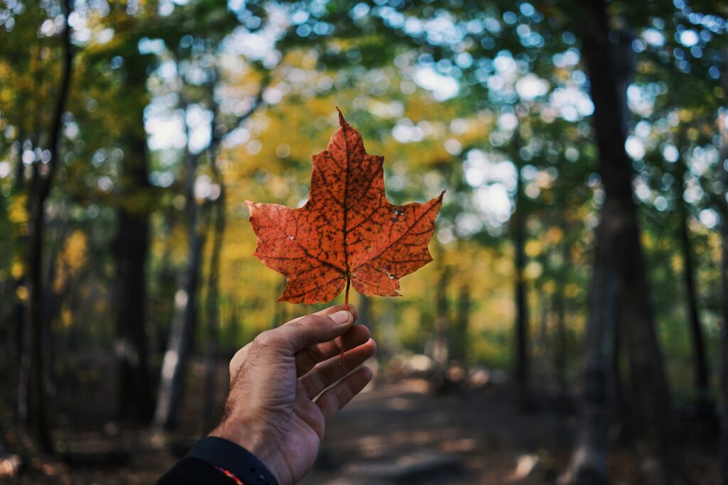 Guillaume Jaillet EIWCd0414xQ Unsplash 1024x683