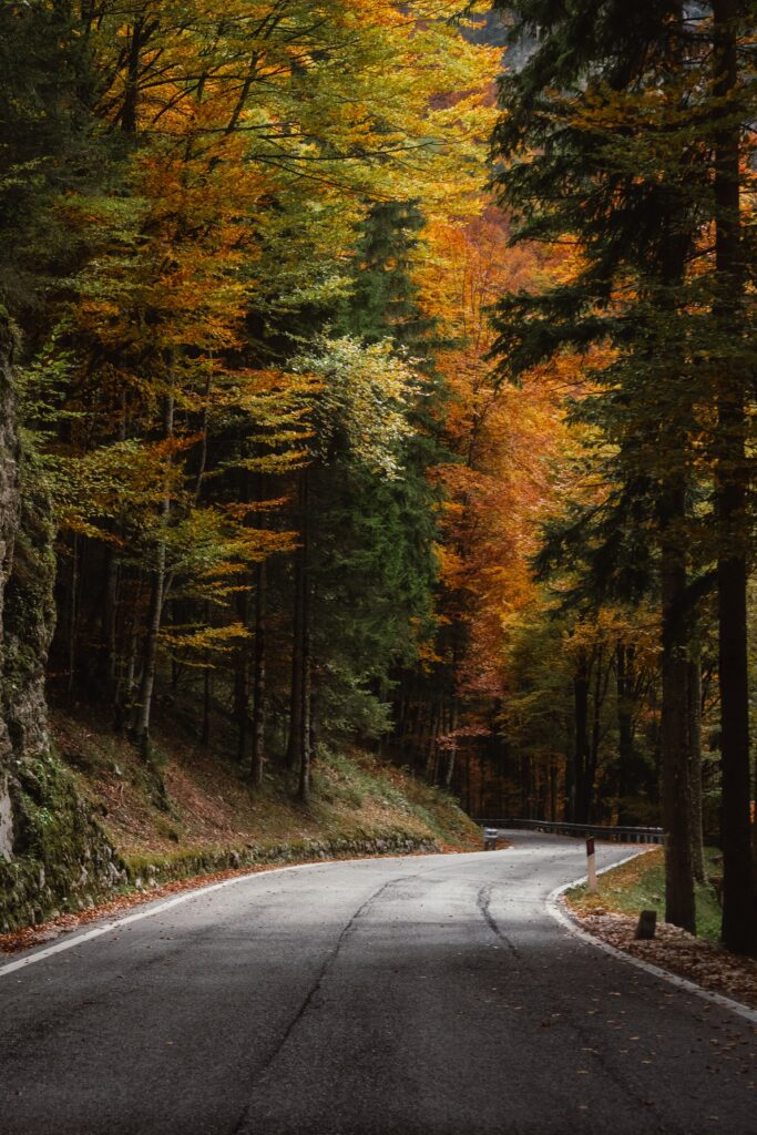 ahmetyuksek curved road 10072702